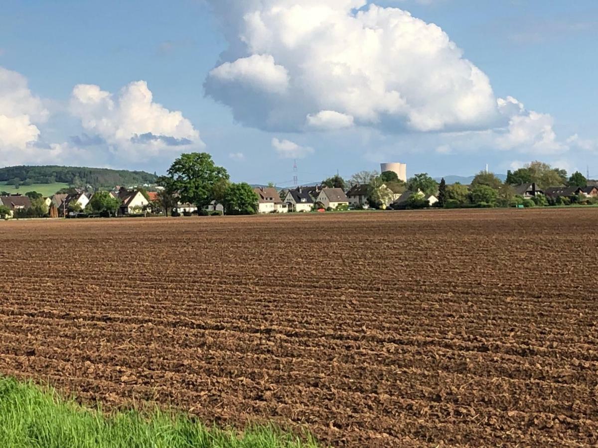 Ferienwohnung Hameln Direkt Am Weserradweg Гамельн Екстер'єр фото